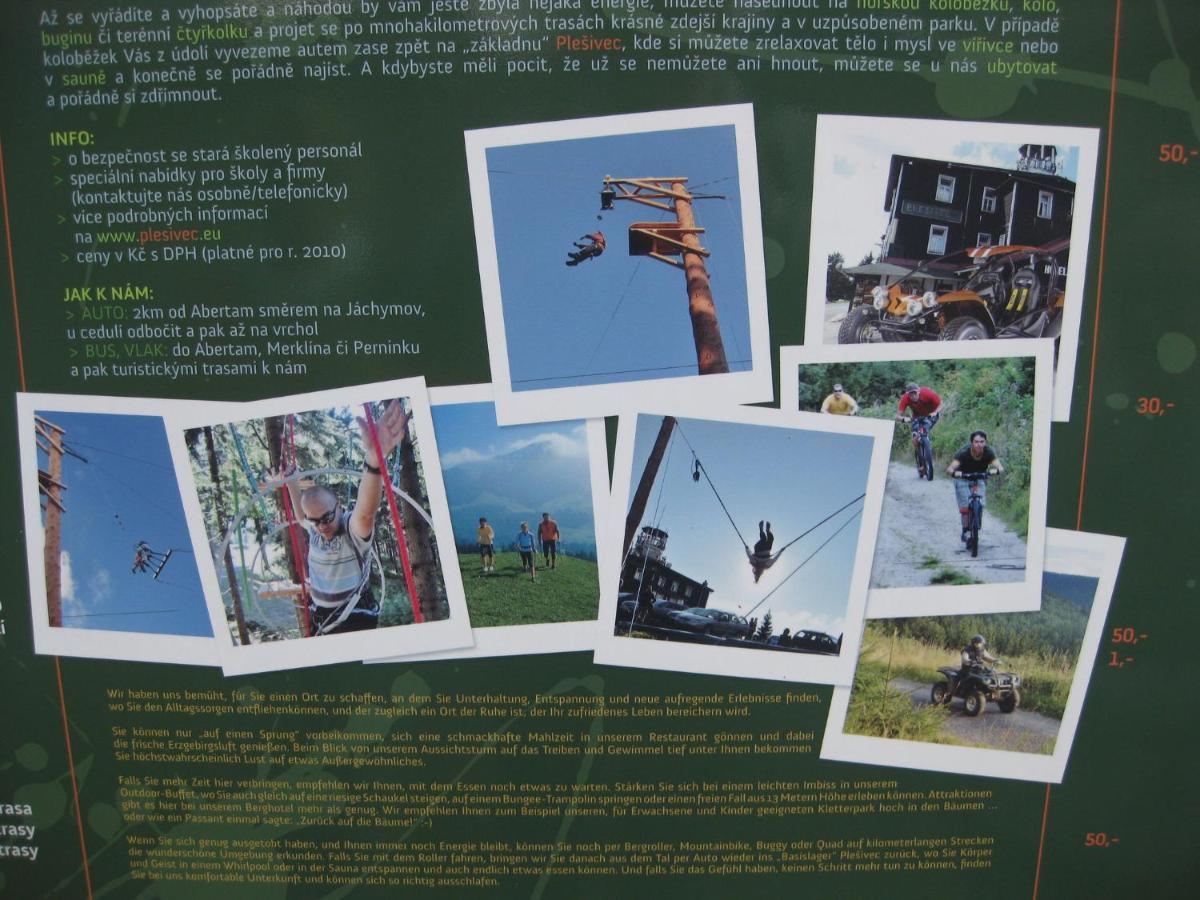 Holiday Home In Bohemia Near Ski Area And Forests Abertamy Luaran gambar